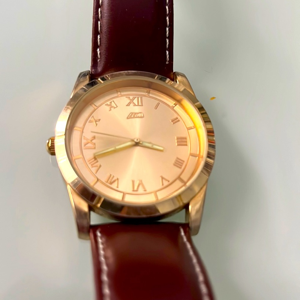Flud Mens Watch Japanese mvmt.